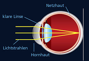 Gesundes Auge
