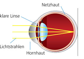 Gesundes Auge